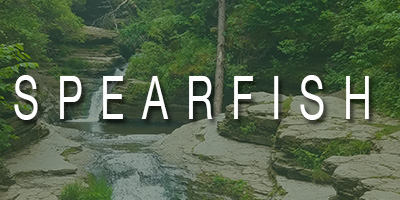Spearfish