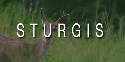 Sturgis